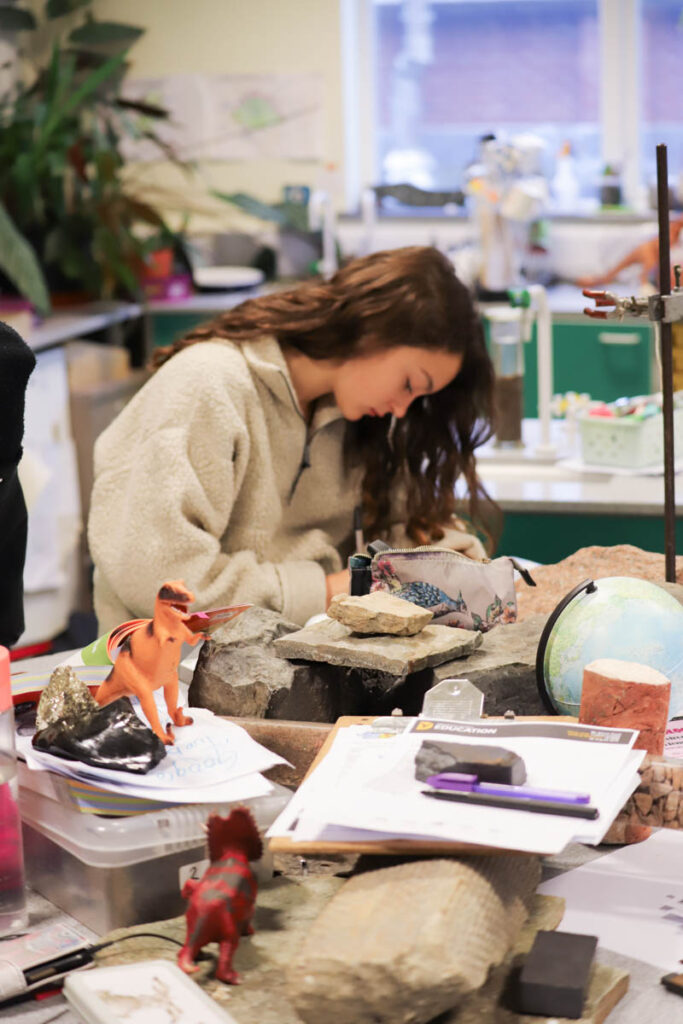 A female student is working in a classroom full of geology rocks at the HLNSC Ludlow College.