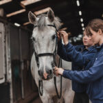 Two female students adjusting the reins on the horse at Walford College