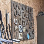 A wall display of equipment and accessories used on horses at Walford College