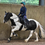 A shot of a female student riding a horse within the exercising stadium at Walford College