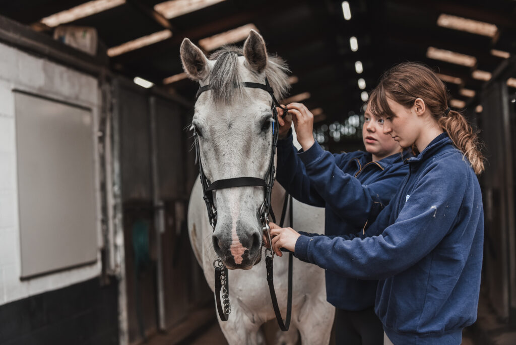 Students standing with a freshly groomed white horse