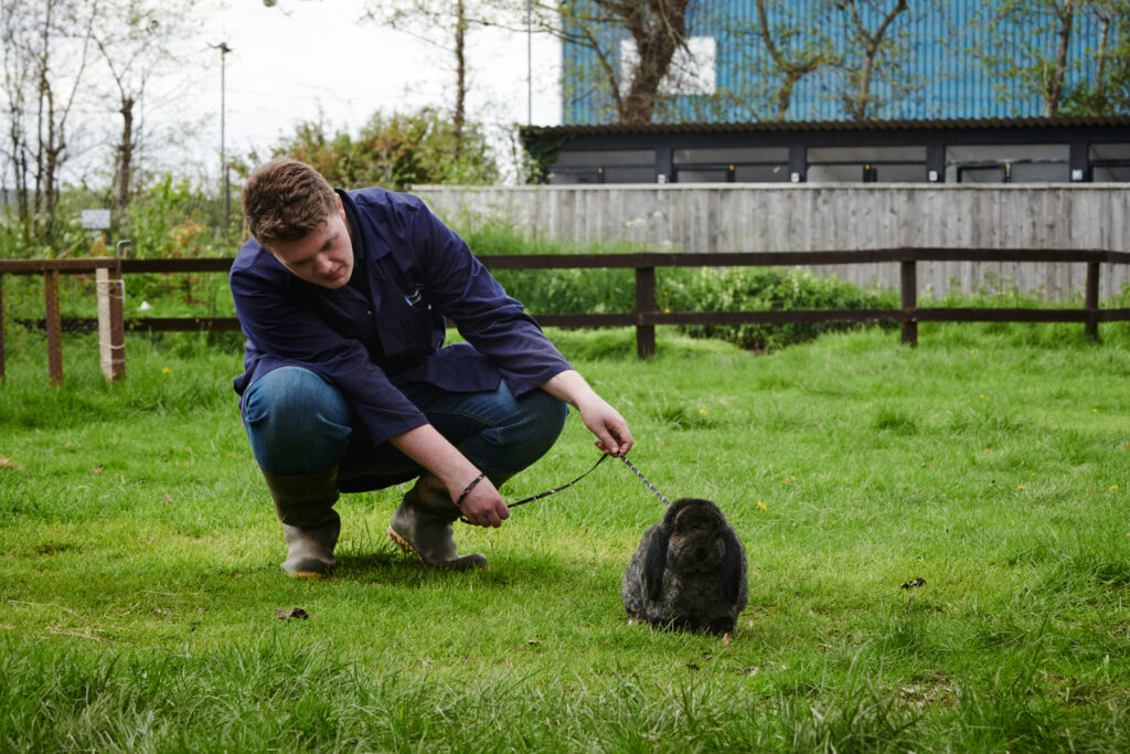 student in a field with a black bunny on a lead