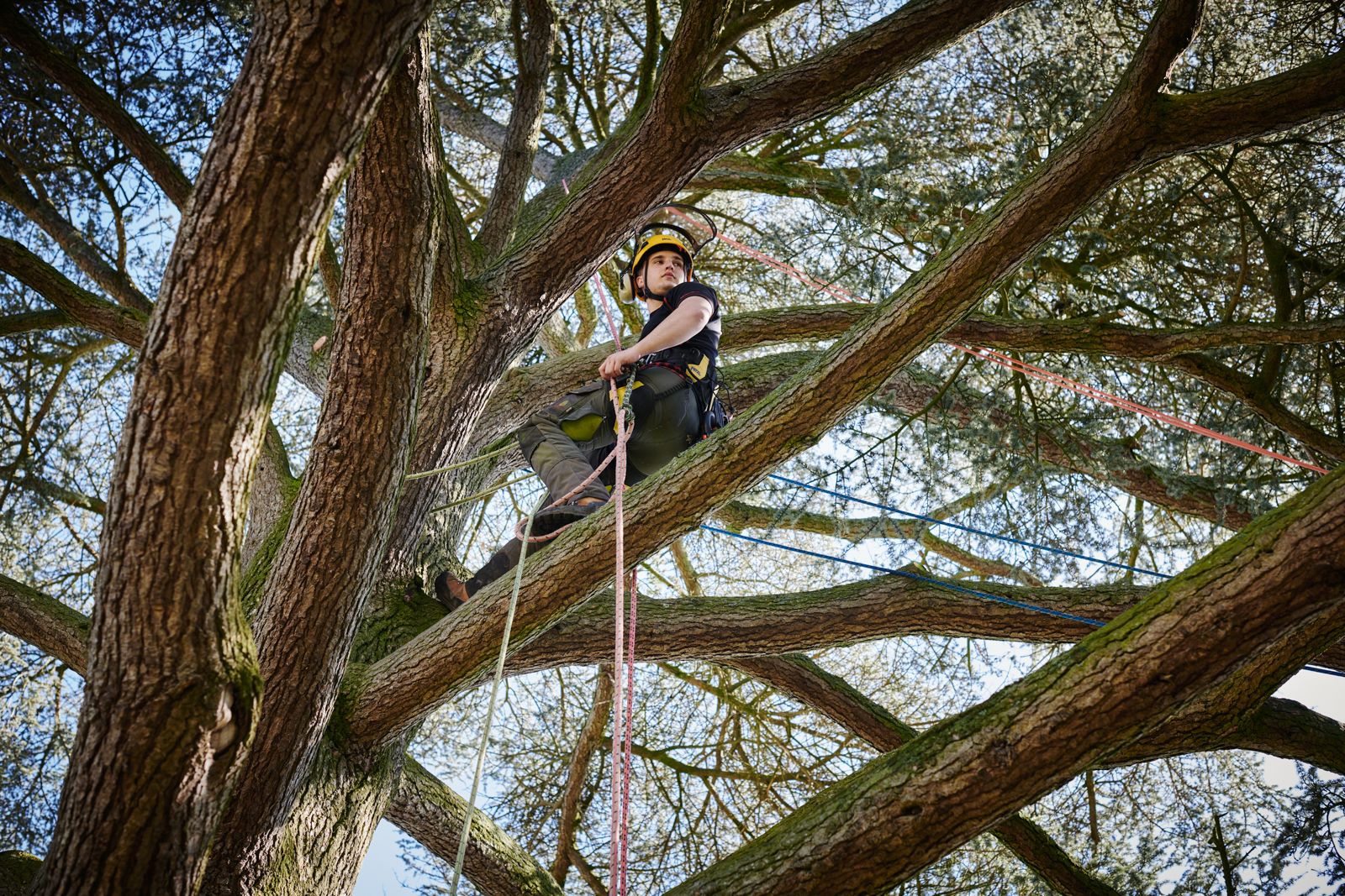 Student learning to climb trees with harness