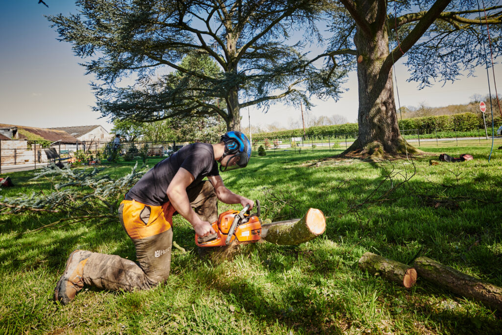 Student cutting a tree branch with chainsaw