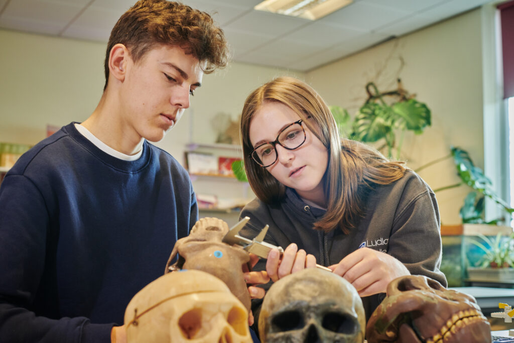 Two students analysing skulls in a Biology class at Ludlow College