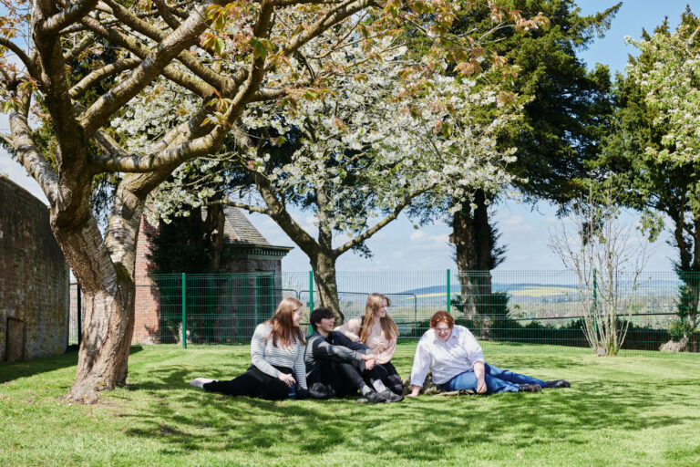 students sitting on the grass next to a group of trees