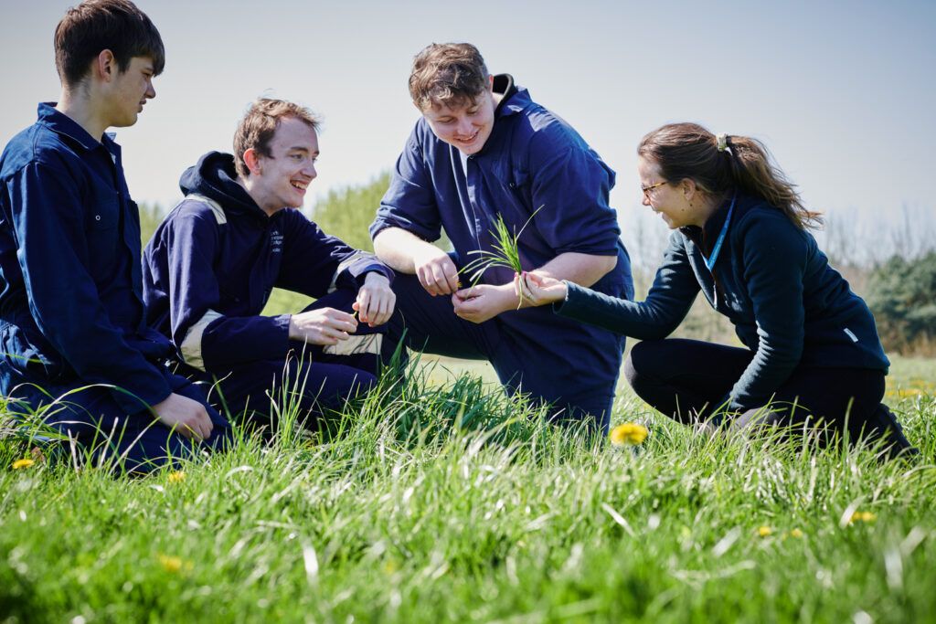 students studying agriculture in a field examining grass
