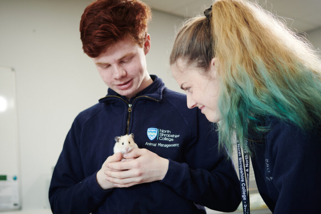 students with a hamster in animal care class, one student is holding it and another student is watching