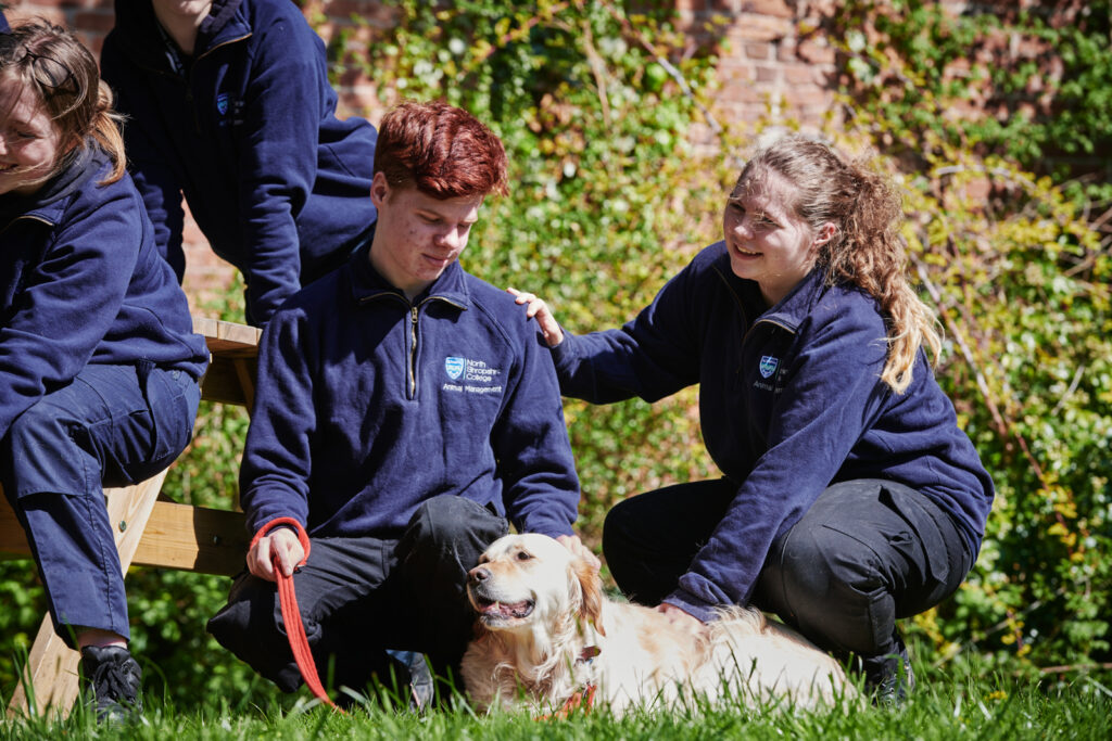students with a golden retriever at Walford college