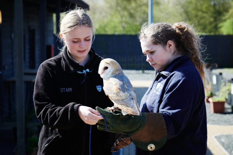 A female tutor guiding a female student with a resting owl on the students hand in protection outside at Walford College