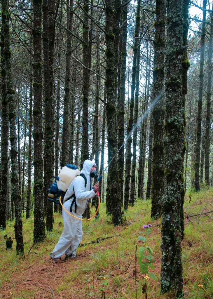 Person in protective clothing spraying pesticides on tree
