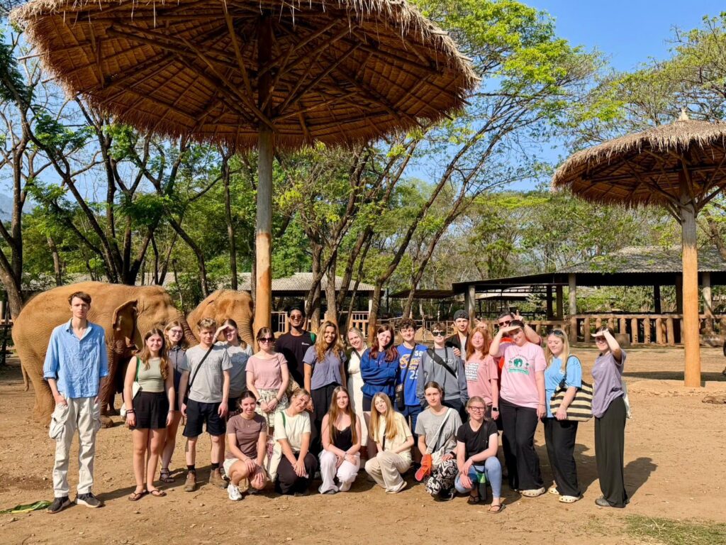 Students on a Thailand educational trip standing together in front of rescued elephants at a wildlife sanctuary
