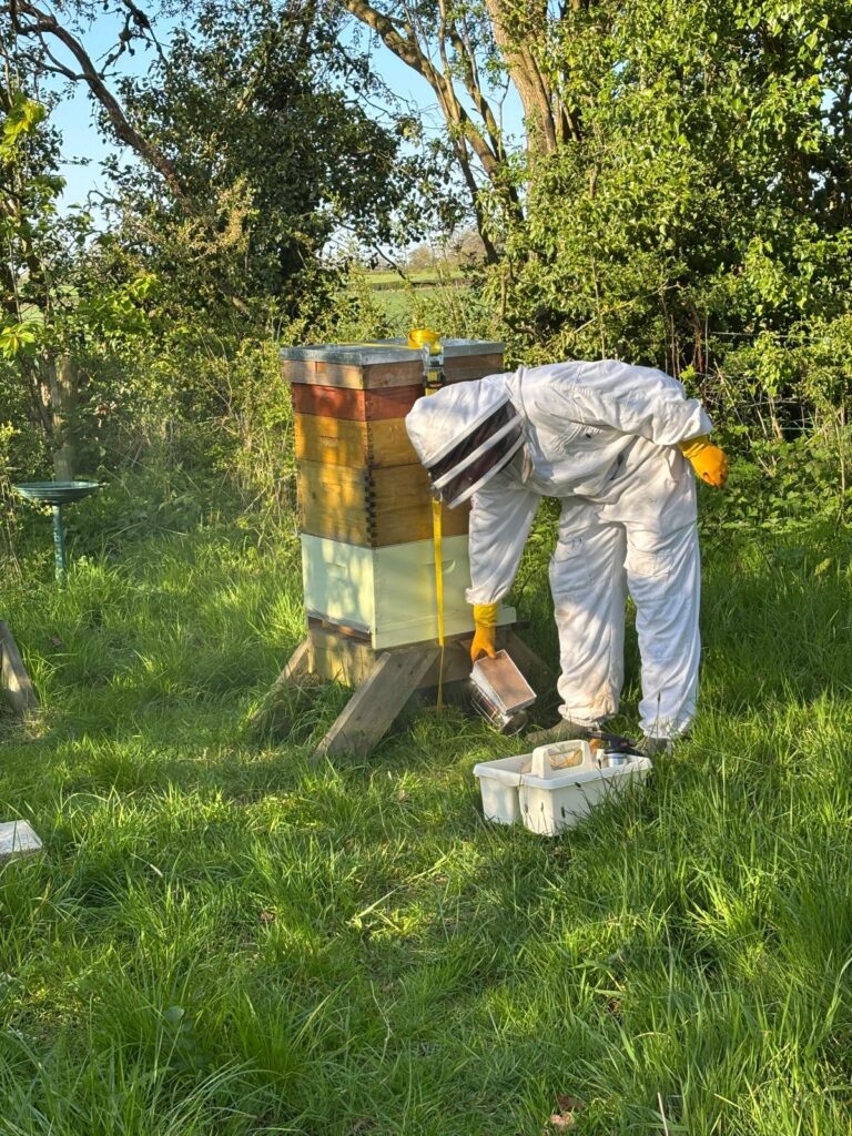 Jenson beekeeping, a hobby that helped his mental health and confidence